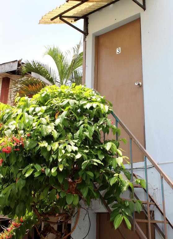 Ximenas Guest House Сан Салвадор Екстериор снимка